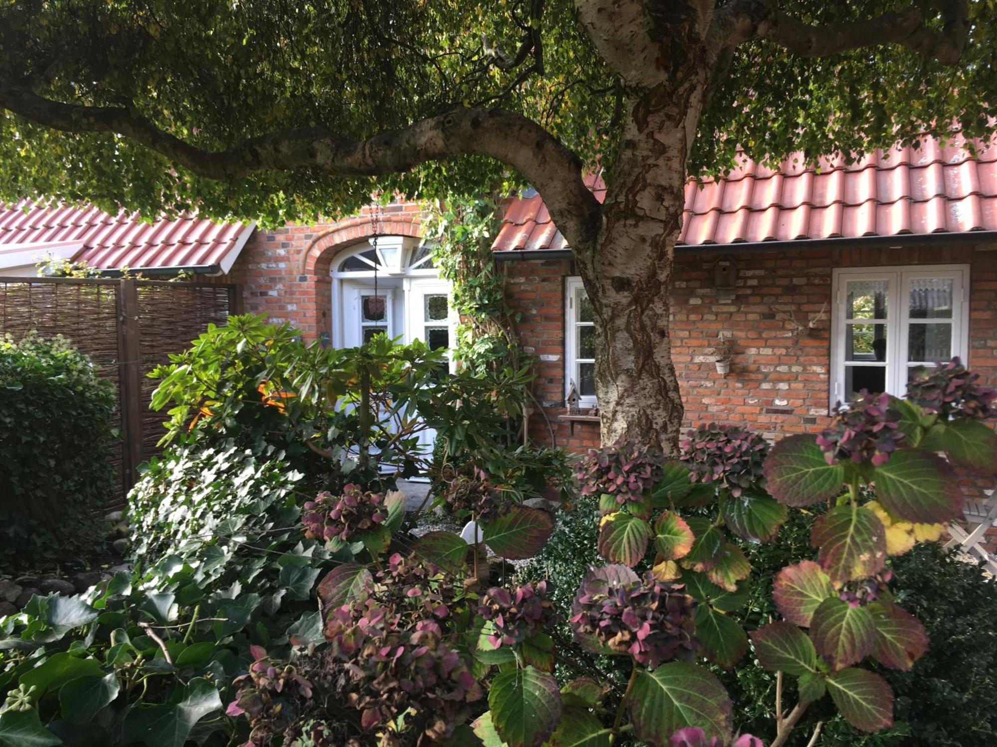 Hues In'T Doerp Villa Oevenum ภายนอก รูปภาพ